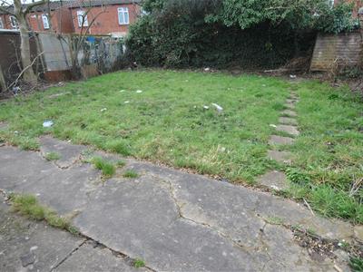 Picture 14